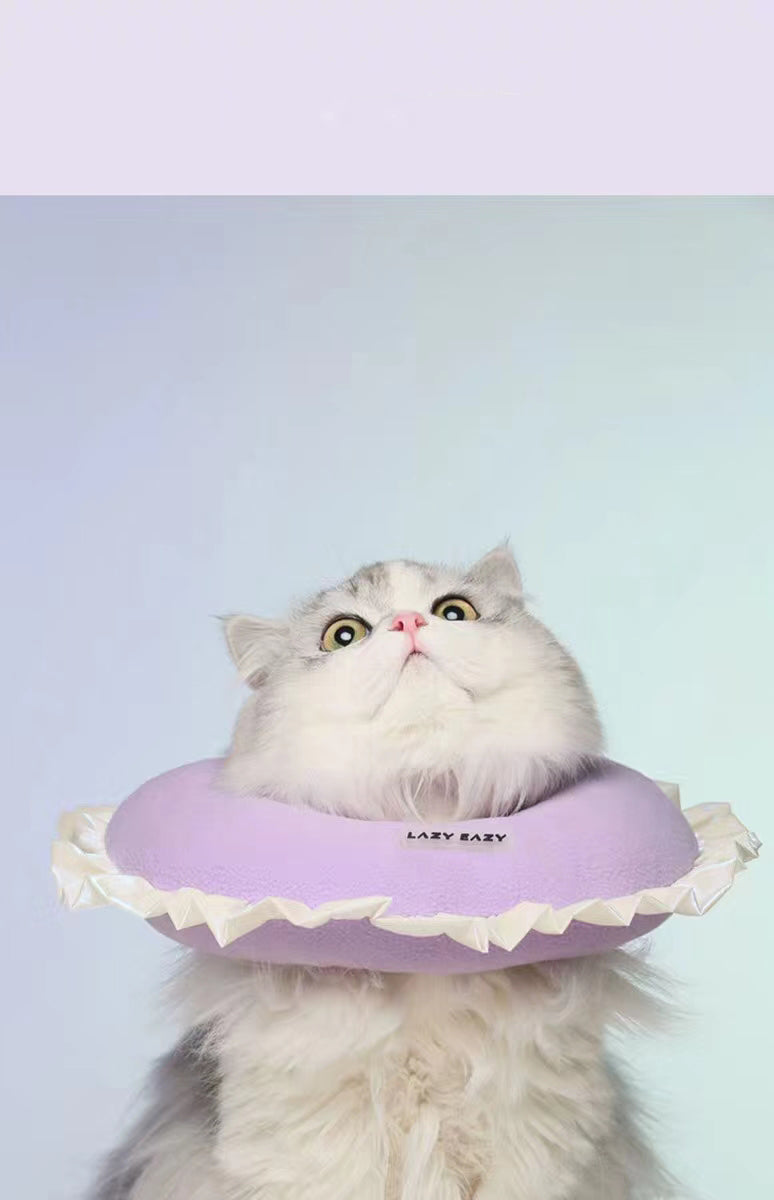 Avezano Light Blue Fades To Light Pink Gradient Backdrop For Portrait Photography-AVEZANO